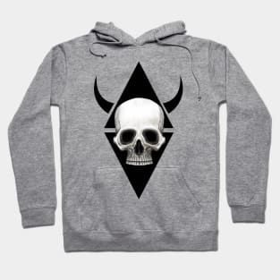 stylish skull Hoodie